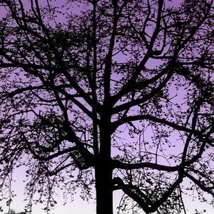 Meet your Posher, Dianne